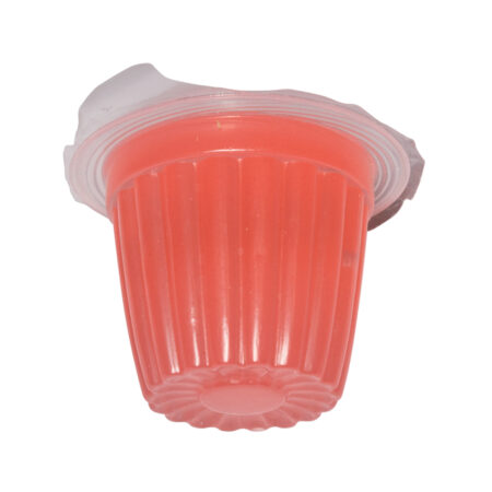 Beetle & Insect Jelly Kirsche