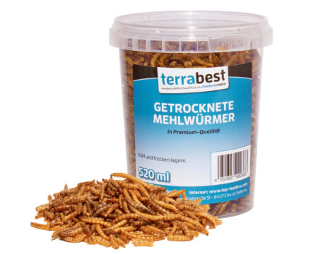 1kg getrocknete Mehlwürmer Premium Qualität