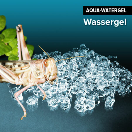 Water Gel, Wassergel, gebrauchsfertig 500ml