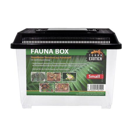 Fauna Box – Small  23 x 15 x 16,5 cm