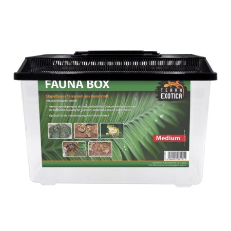 Fauna Box – Medium 30 x 19,5 x 20,5 cm