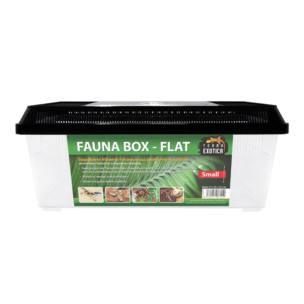 Fauna Box » Flach klein » 37x22x15cm » Reptilien-Transportbox