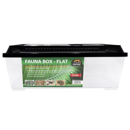 Fauna Box – Flat Large – 45 x 30 x 16,2 cm
