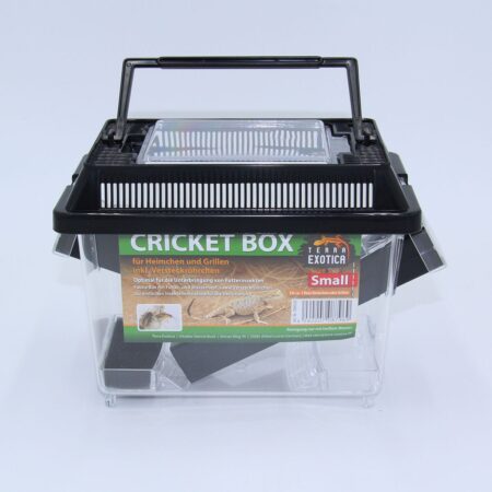 Cricket Box – Small 18 x 11 x 14 cm