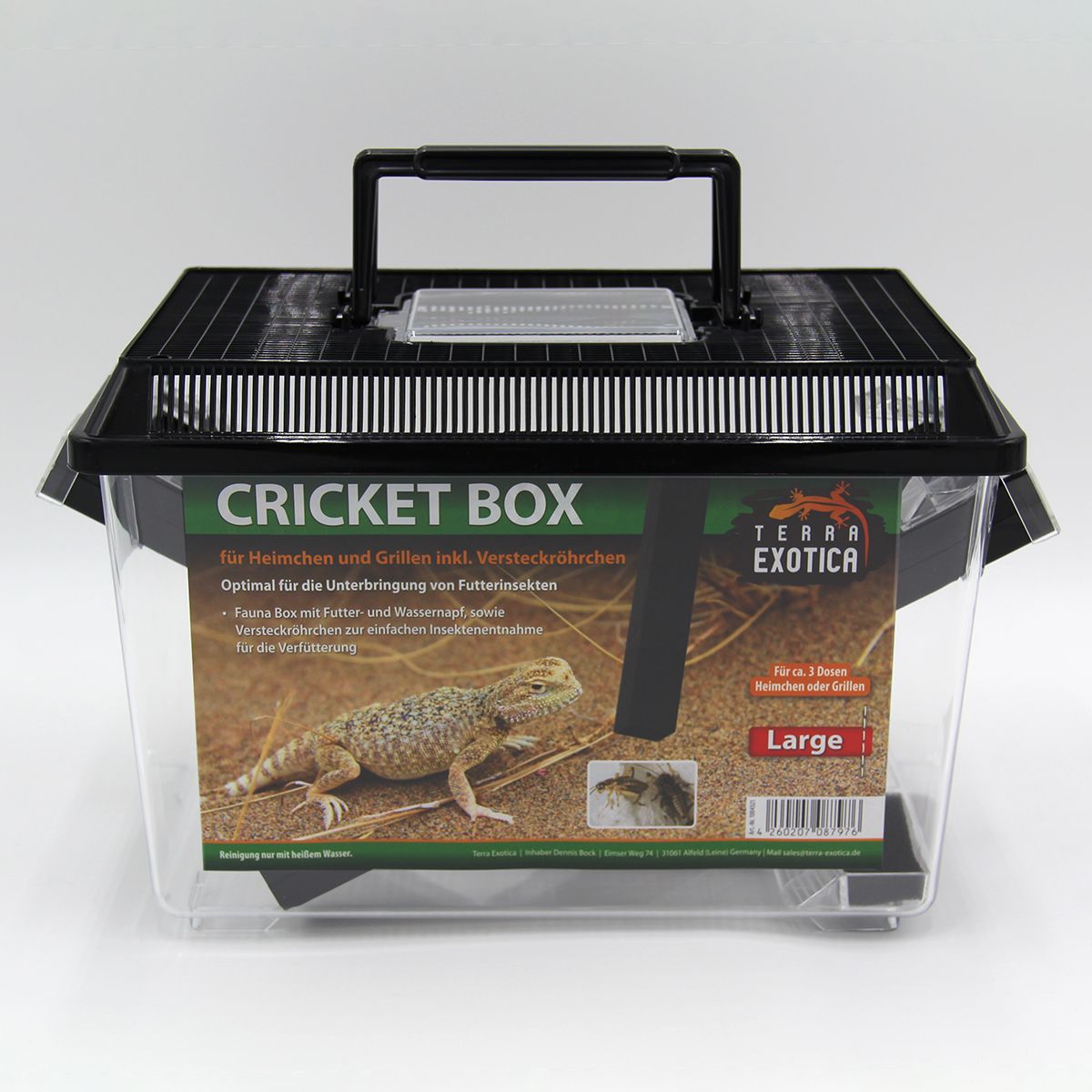 Cricket Box » Groß » 30×19,5×20,5cm » Terra Exotica